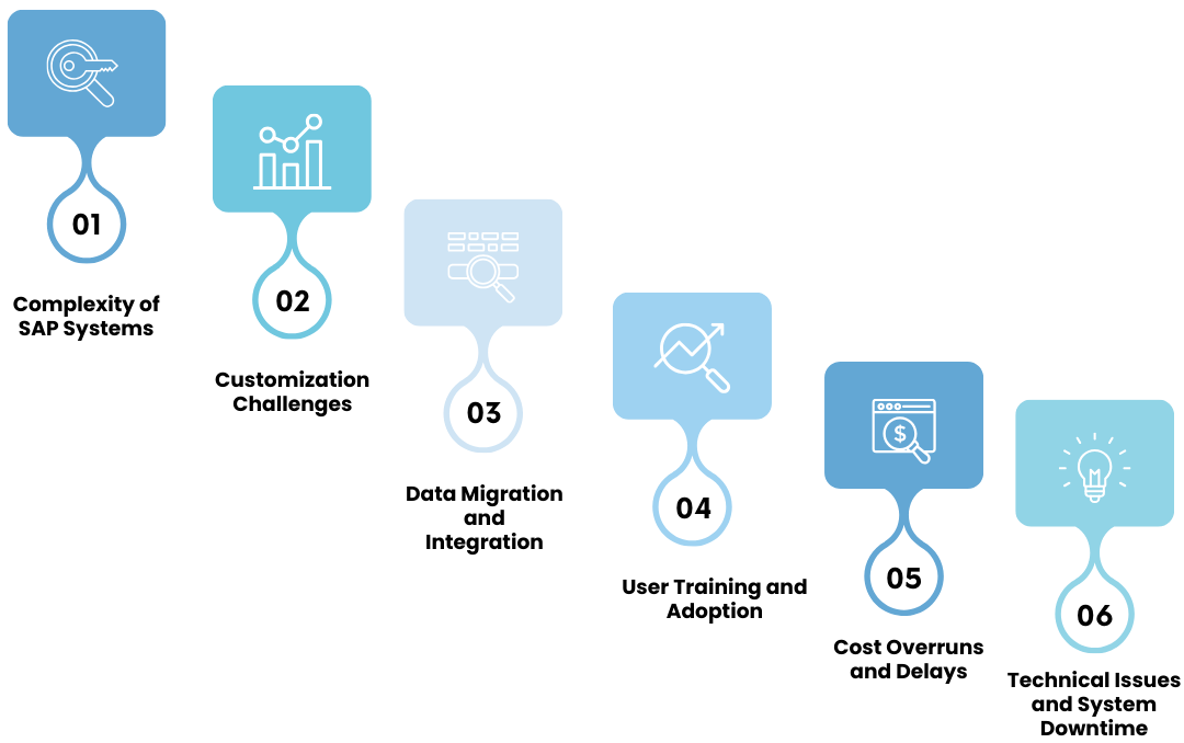 Common SAP Implementation Issues